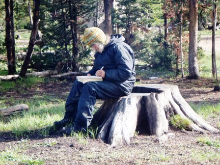 Alys on stump